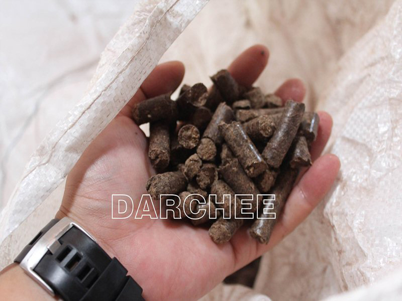 Palm particles